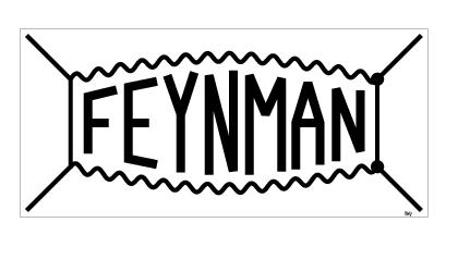 Feynman "bug" - better